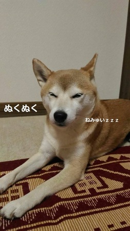3423686710229.jpg
