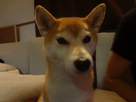 DSC02867.jpg