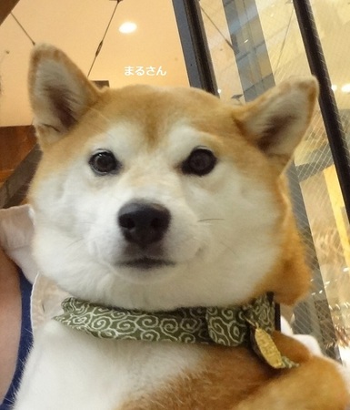 あDSC01727.jpg