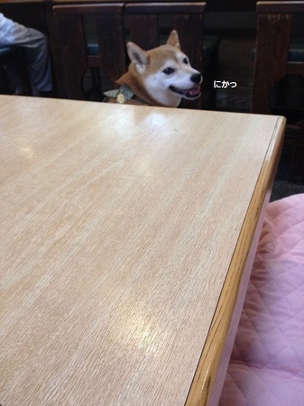001.jpg