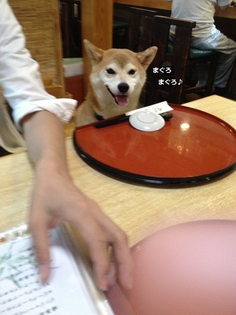 005.jpg