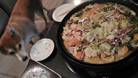 20151005000103351.jpg