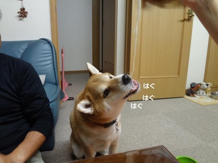 3433082399643.jpg