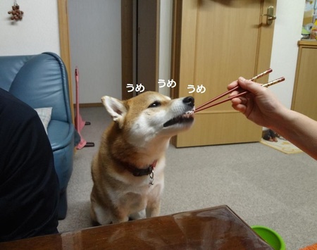 3433083779323.jpg