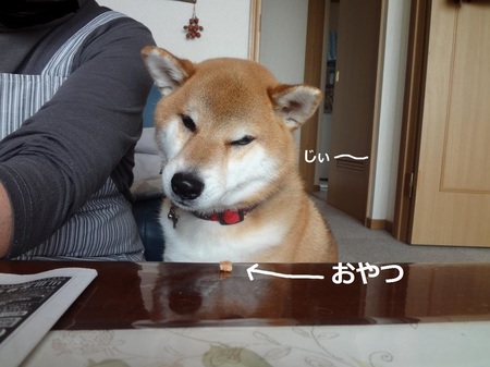 3433103542741.jpg