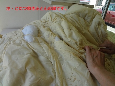 DSC01160.jpg