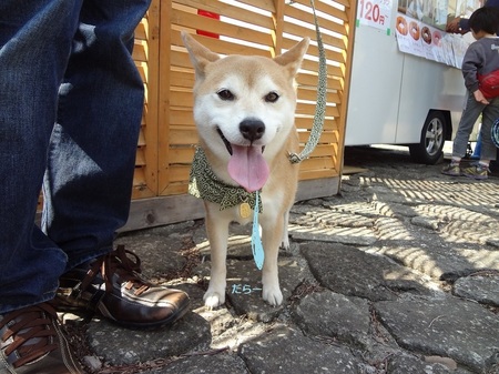 DSC01255.jpg