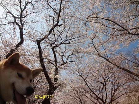 DSC01273.jpg