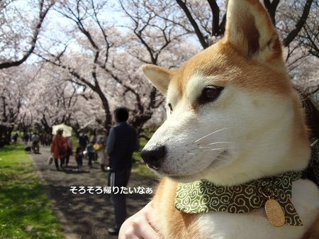 DSC01276.jpg