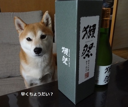 DSC01370.jpg