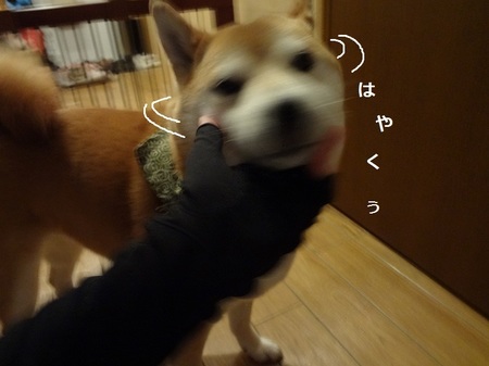 DSC01470.jpg