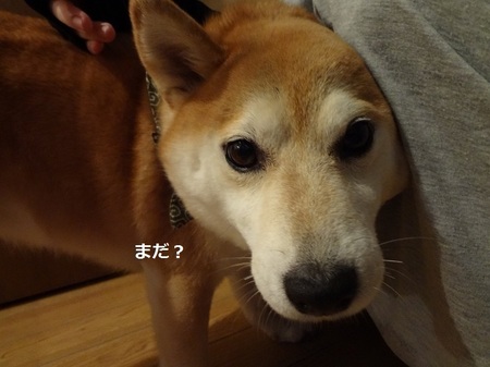 DSC01471.jpg