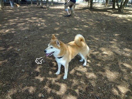 DSC01485.jpg