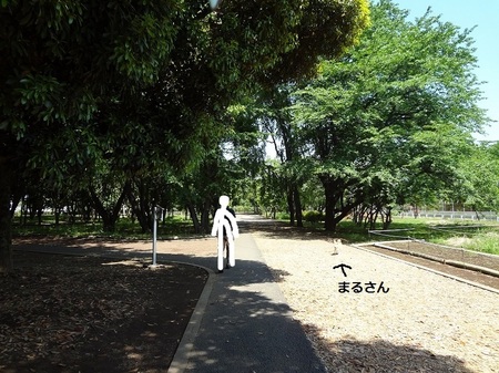 DSC01500.jpg