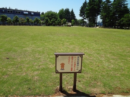 DSC01502.jpg