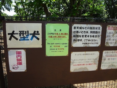 DSC01505.jpg