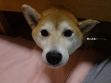 DSC02474.jpg