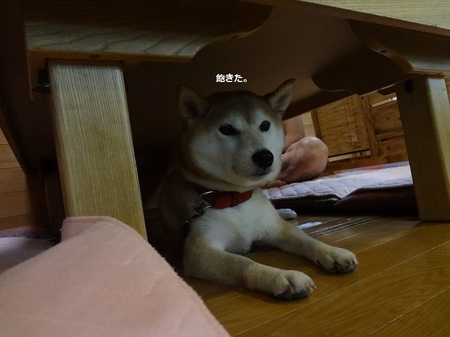 DSC02480.jpg