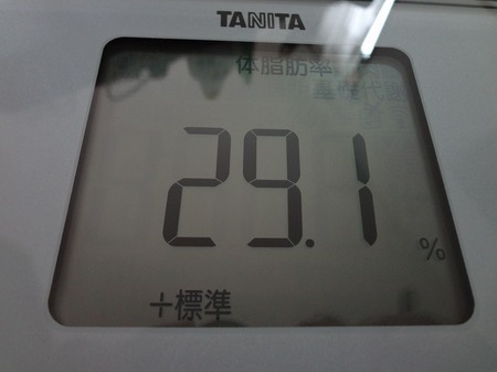 DSC02560.jpg