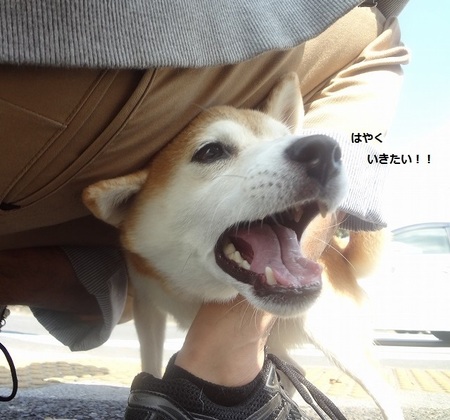 DSC02776.jpg