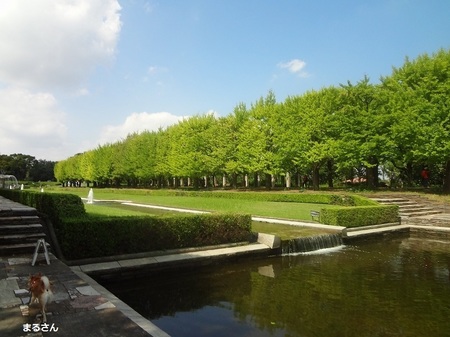 DSC02780.jpg