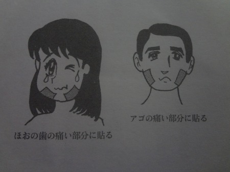 DSC02830.jpg