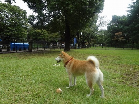 DSC02884.jpg