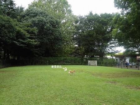 DSC02888.jpg