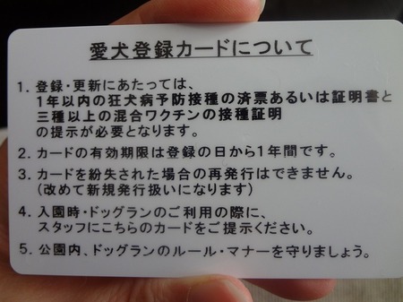 DSC02890.jpg