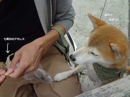 DSC03010.jpg
