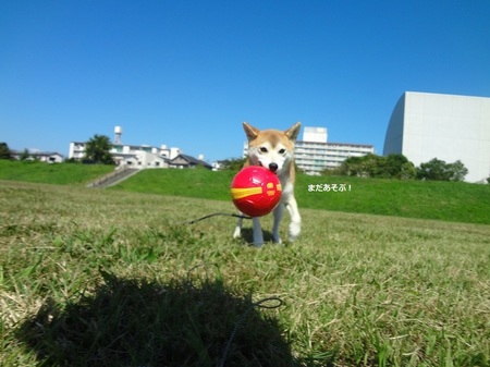 DSC03034.jpg