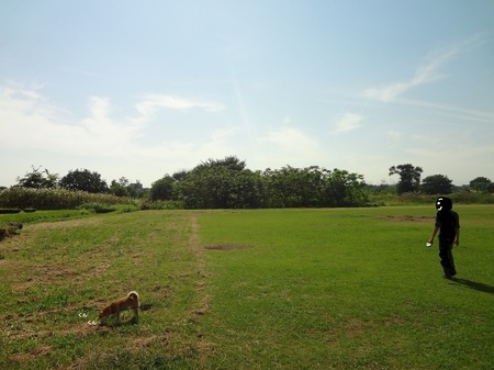 DSC03047.jpg