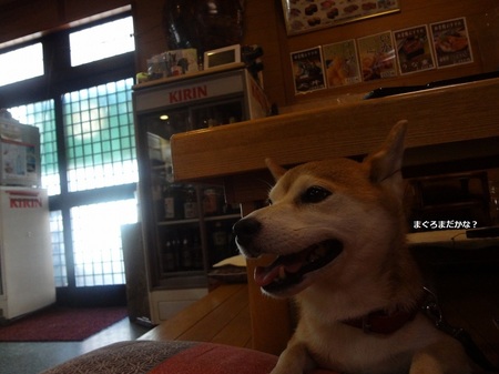 DSC03060.jpg