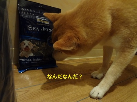 あDSC01102.jpg