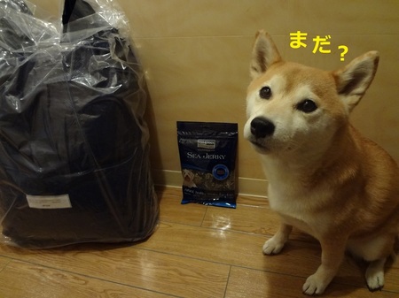 あDSC01109.jpg