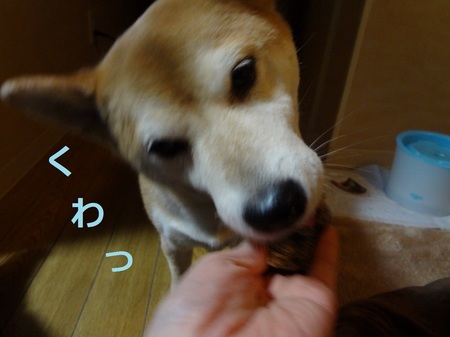 あDSC01111.jpg