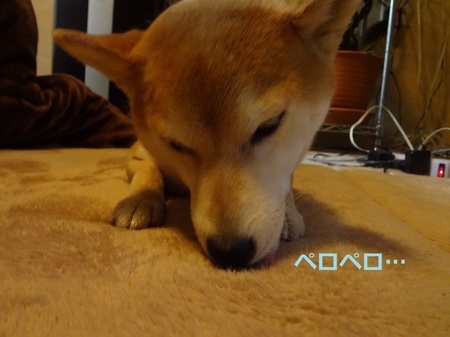 あDSC01115.jpg