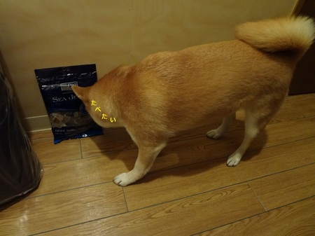 えDSC01103.jpg