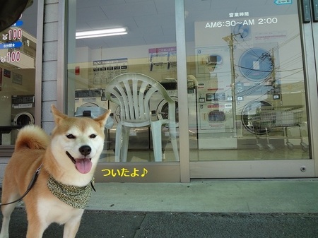 えDSC01150.jpg