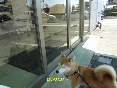 えDSC01151.jpg