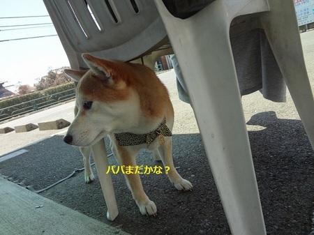 えDSC01153.jpg