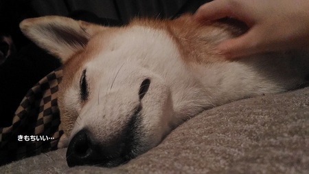 P_20150921_233334.jpg