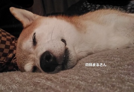 P_20150921_233916.jpg