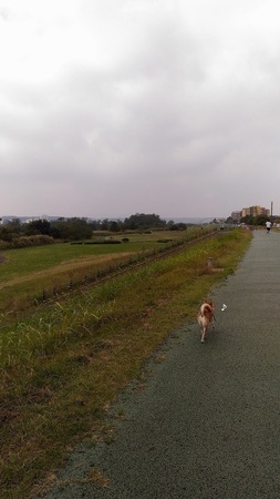 P_20151018_105751.jpg