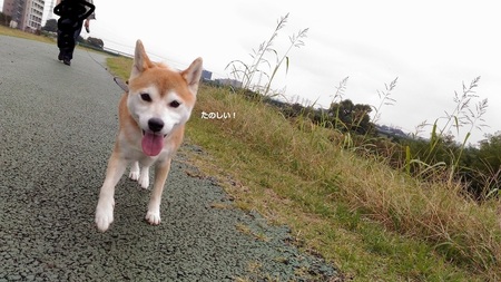 P_20151018_105837.jpg