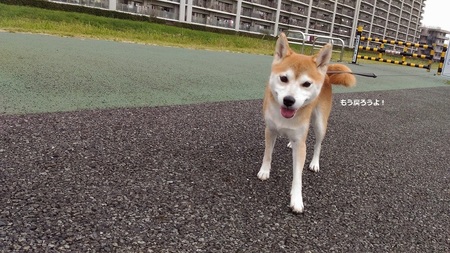 P_20151018_105857.jpg