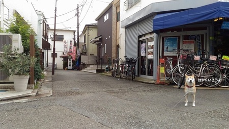 P_20151018_111355.jpg