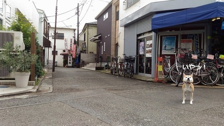P_20151018_111401.jpg