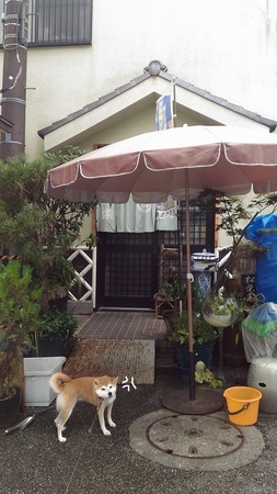 P_20151018_111636.jpg